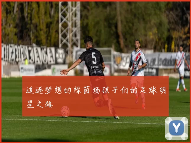 追逐梦想的绿茵场孩子们的足球明星之路