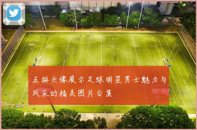 五排头像展示足球明星男士魅力与风采的精美图片合集