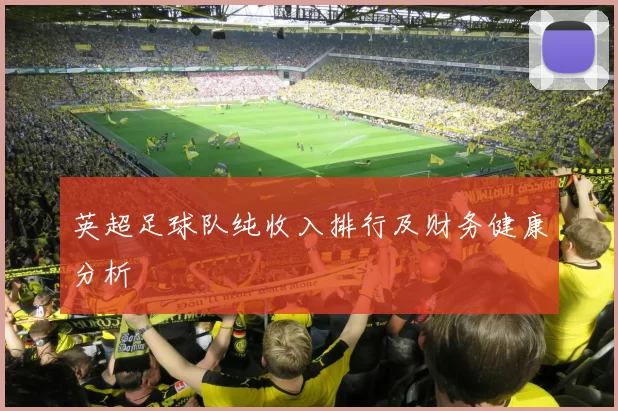英超足球队纯收入排行及财务健康分析