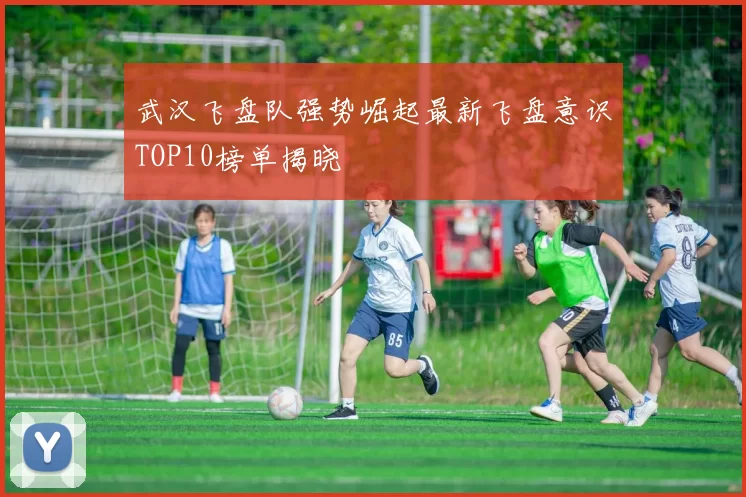 武汉飞盘队强势崛起最新飞盘意识TOP10榜单揭晓