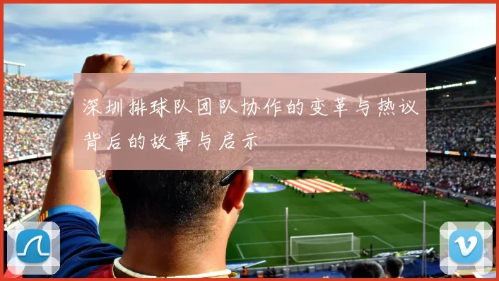 深圳排球队团队协作的变革与热议背后的故事与启示