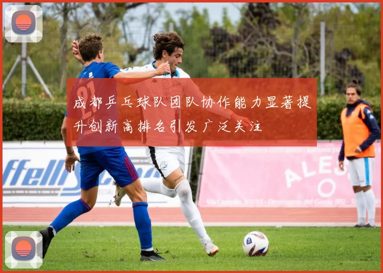成都乒乓球队团队协作能力显著提升创新高排名引发广泛关注