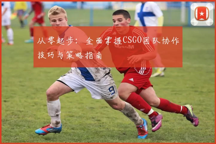 从零起步：全面掌握CSGO团队协作技巧与策略指南