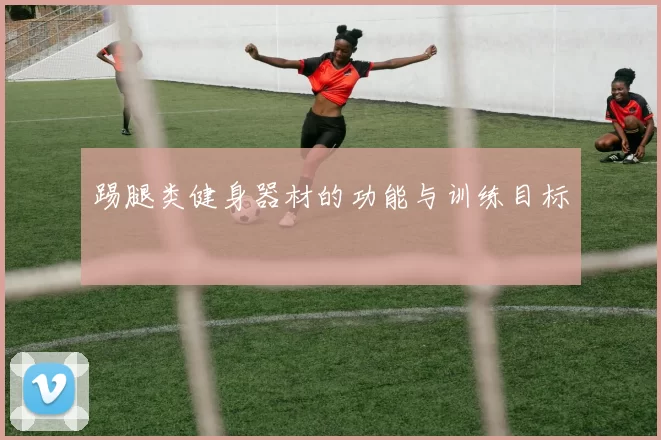 踢腿类健身器材的功能与训练目标
