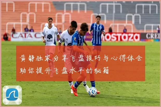 黄静独家分享飞盘技巧与心得体会助你提升飞盘水平的秘籍