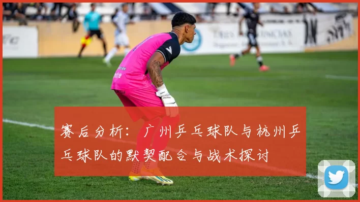 赛后分析：广州乒乓球队与杭州乒乓球队的默契配合与战术探讨