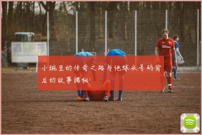 小豌豆的传奇之路与他球衣号码背后的故事揭秘