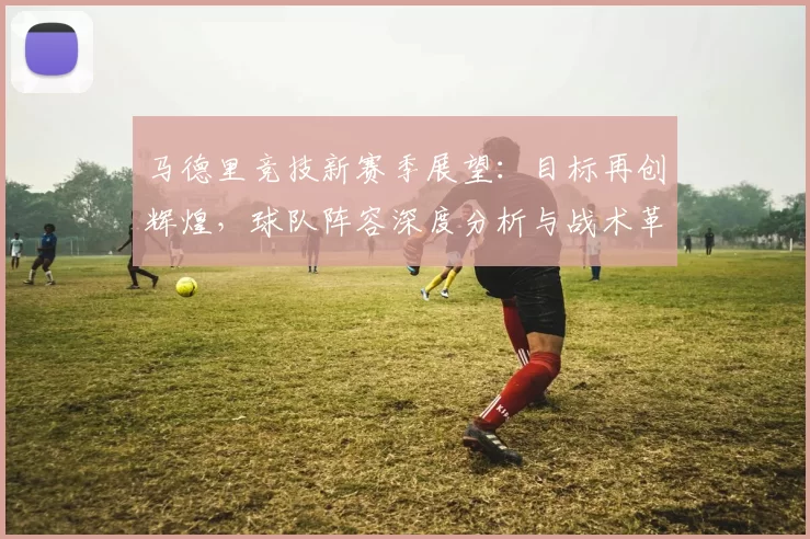 马德里竞技新赛季展望：目标再创辉煌，球队阵容深度分析与战术革新