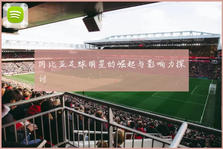 冈比亚足球明星的崛起与影响力探讨