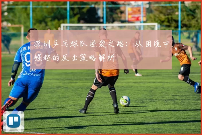 深圳乒乓球队逆袭之路：从困境中崛起的反击策略解析