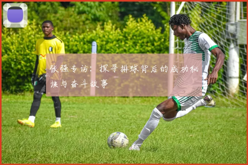 张强专访：探寻排球背后的成功秘诀与奋斗故事