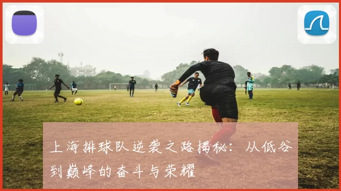 上海排球队逆袭之路揭秘：从低谷到巅峰的奋斗与荣耀