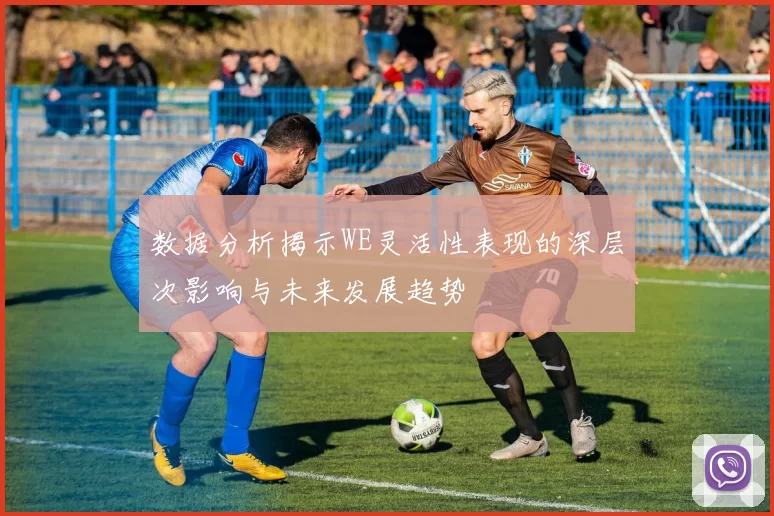 数据分析揭示WE灵活性表现的深层次影响与未来发展趋势