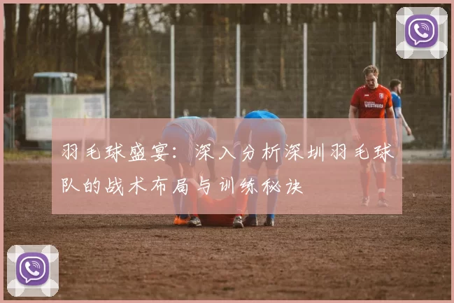 羽毛球盛宴：深入分析深圳羽毛球队的战术布局与训练秘诀