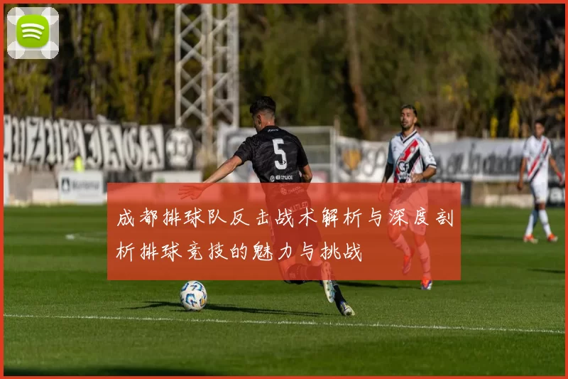 成都排球队反击战术解析与深度剖析排球竞技的魅力与挑战