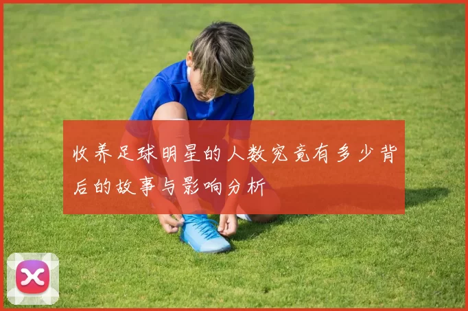收养足球明星的人数究竟有多少背后的故事与影响分析