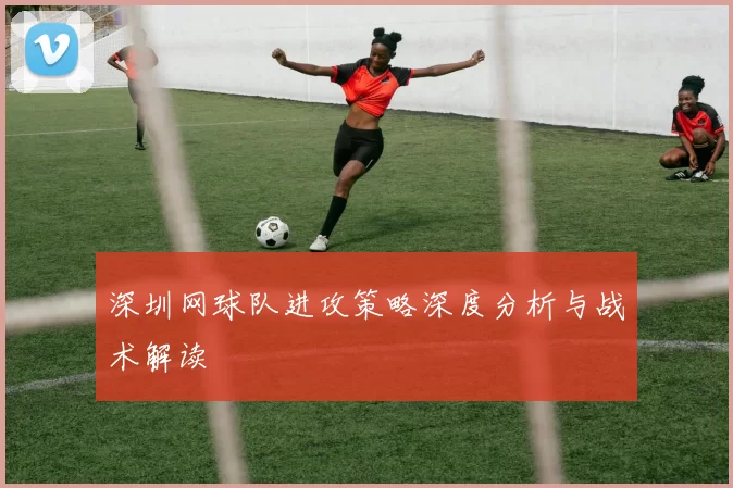 深圳网球队进攻策略深度分析与战术解读