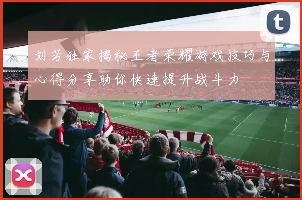 刘芳独家揭秘王者荣耀游戏技巧与心得分享助你快速提升战斗力