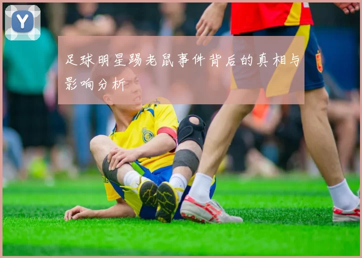 足球明星踢老鼠事件背后的真相与影响分析