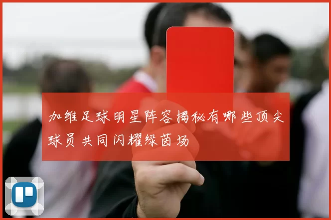 加维足球明星阵容揭秘有哪些顶尖球员共同闪耀绿茵场