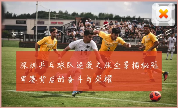 深圳乒乓球队逆袭之旅全景揭秘冠军赛背后的奋斗与荣耀