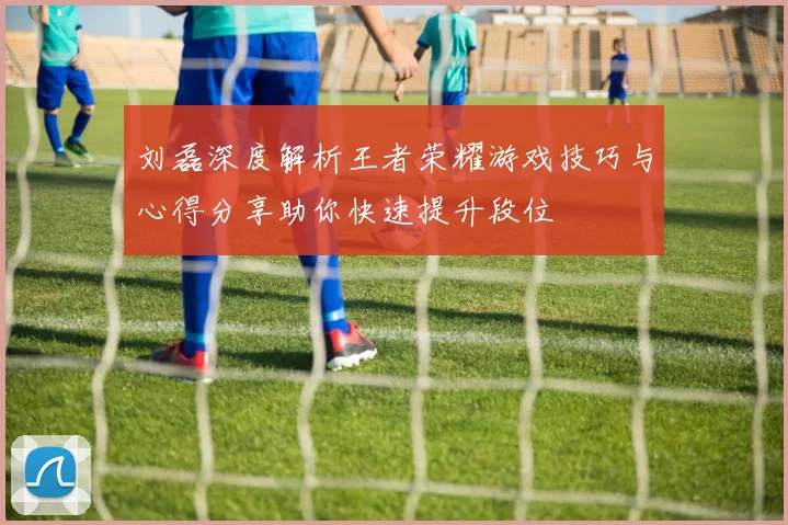 刘磊深度解析王者荣耀游戏技巧与心得分享助你快速提升段位