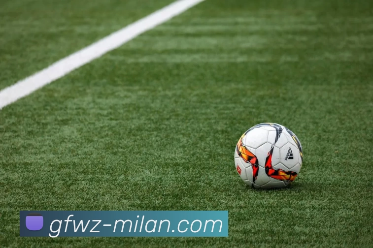 米兰体育平台生态图